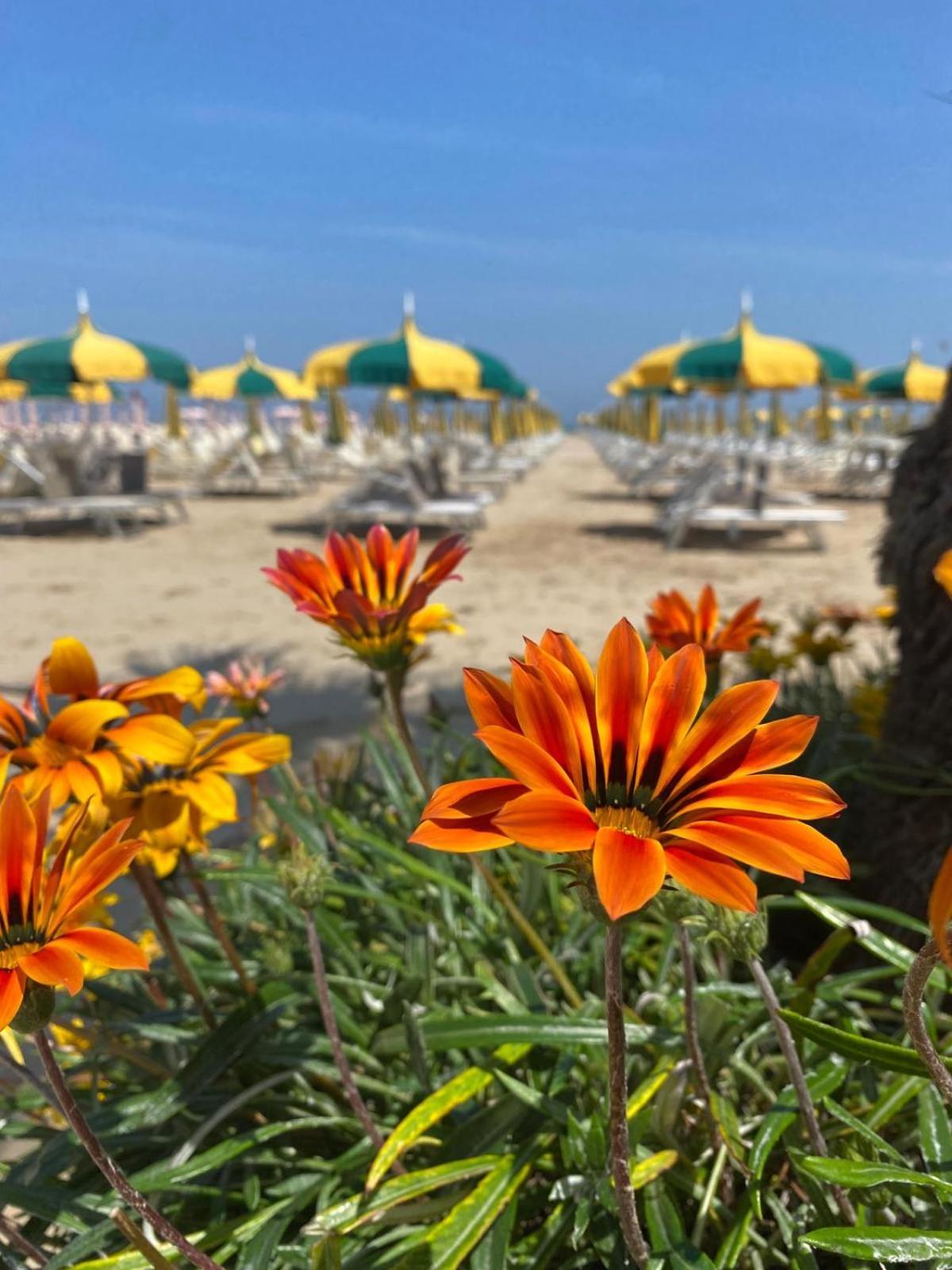 Rimini Bay Suites&Residence Exterior foto